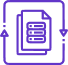 Auto-format Customer Data